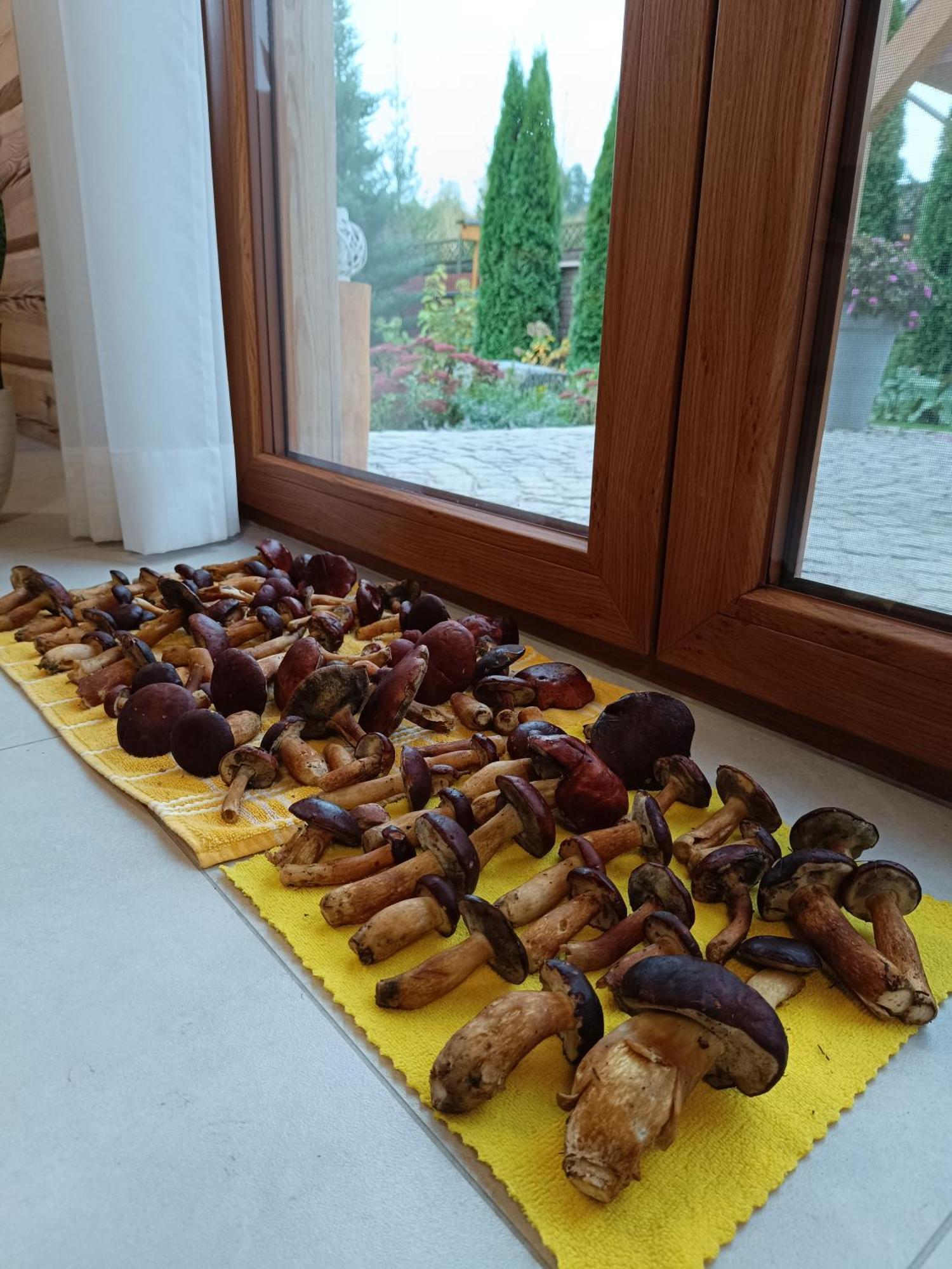 Dom Z Bala W Sercu Podlasia Білосток
